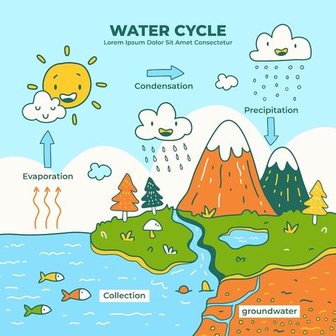 Hand drawn water cycle | Premium Vector #Freepik #vector #evaporation #water-cycle #rain-cloud #illustrations Animation, Water Cycle Poster, Hydrology, Water Cycle, Water Cycle Diagram, Water Cycle Craft, Ocean Projects, Water Cycle Chart, Cycle Drawing