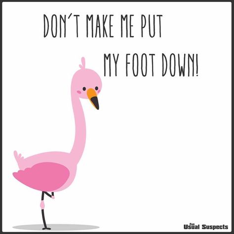 Flamingo foot Funny Memes, Funny Quotes, Sayings, Ideas, Funny Stuff, Funny Puns, Illustrators, Art, Pink