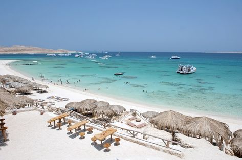 Aqua, Tours, Trips, Travel, Snorkelling, Marsa Alam, Luxor, Adventure, Snorkeling