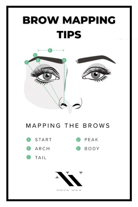 Diagram of the eye area, outlining the different parts of the brow  such as the start, arch, tail, peak, and body and where their locations are on the brow. text on photo reads "brow mapping tips Eyebrows, Eyebrow Make-up, Eye Make Up, Brow Threading, How To Shape Eyebrows, How To Do Brows, How To Trim Eyebrows, Brow Shaping, Brow Artist
