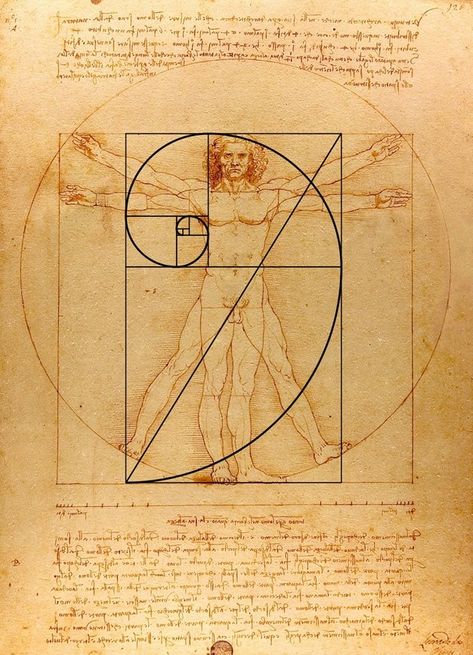 The Golden Ratio: Divine Rule for Perfect Beauty? | Dr Siew.com Art, Mandala, Geometric, Mandala Art, Resim, Grafik, Kunst, Fotografie, Spiral