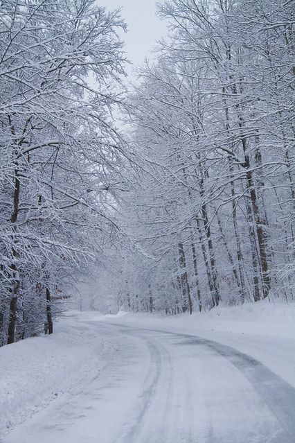 Winter, Winter Road, Snow Pictures, Winter Photography, Winter Landscape, Winter Scenery, Snowfall, Winter Scenes, Snow Scenes