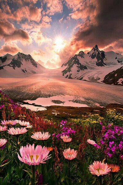 flower valley Amazing Nature, Nature, Nature Photography, Sunrise, Beautiful Nature, Nature Pictures, Scenic, Beautiful Places, Beautiful Landscapes