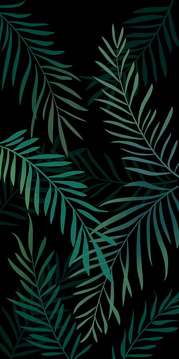 Floral, Boho, Green Leaf Wallpaper, Green Leaf Background, Leaves Wallpaper, Palm Leaf Wallpaper, Green Nature Wallpaper, Tropical Wallpaper, Plant Background