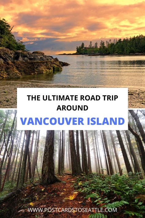 Ideas, Vancouver, Pacific Northwest, Camping, Wanderlust, Snorkelling, Vancouver Island Travel Guide, Travel Vancouver Island, Canada Road Trip