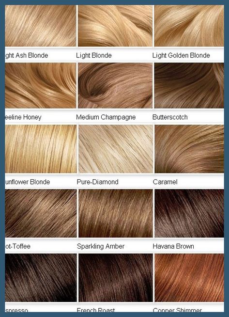 Blonde hair, light blonde, shade chart, brown, brunette, blonde Blonde Color Chart, Which Hair Colour, Brunette Ombre, Honey Hair Color, Hair Blond, Brunette Balayage, Blonde Brown, Dyed Blonde Hair, Hair Color Chart