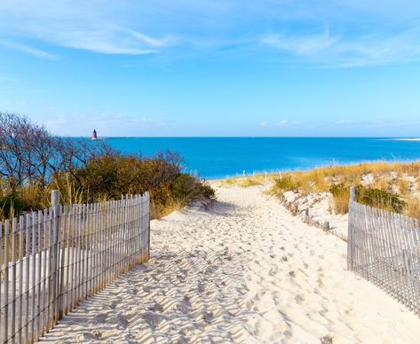 The state of Delaware is home to a wide variety of beaches that are worth a visit on any summer afternoon. Here are some of the best and most beautiful. Trips, State Parks, Island Beach, Delaware Beaches, Places To Go, Vacation Spots, Beach, Dewey Beach, Places To Visit