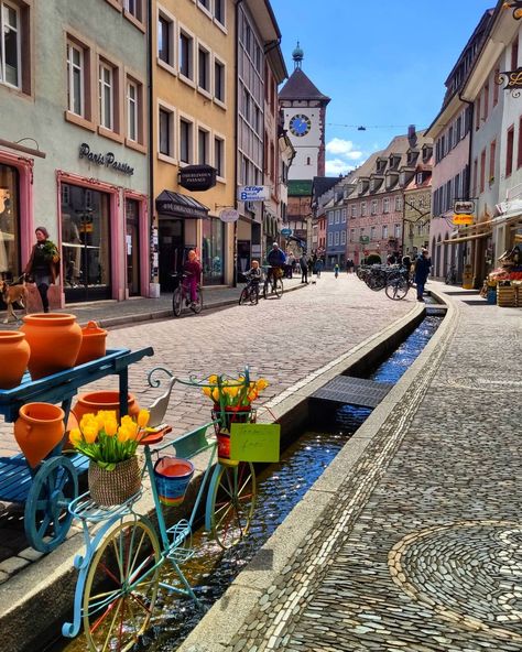 Freiburg, Instagram, Germany Travel, Alsace, Freiburg Im Breisgau, Laufen, Deutschland, Cities In Germany, Visit Germany