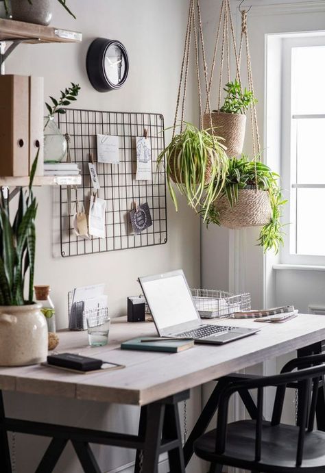 Home Décor, Home Office, Home, Hanging Plants Indoor, Hanging Plants, Home Decor, Hanging Plant, Room Decor, Decorating Your Home