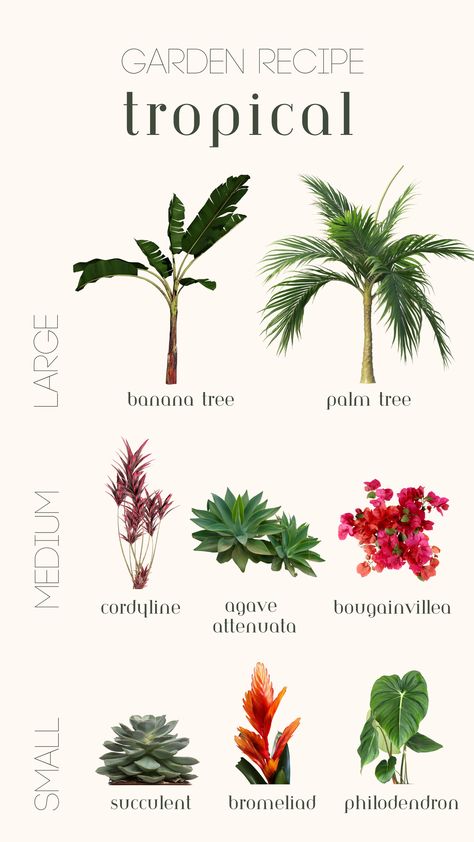 Small, medium and large tropical plants. Tropical plant ideas, tropical garden ideas, tropical gardening, outdoor pool landscaping Tropical Flowers, Tropical Garden Plants, Plants Around Pool, Plants By The Pool, Tropical Trees Landscaping, Tropical Flower Plants, Tropical Landscaping, Tropical Gardens, Palm Trees Landscaping