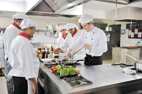 If you are pursuing hospitality management degree then there are lots of job opportunities after completing it. JSHM (Jindal School of Hotel Management) is one of the best institute for those looking for degree and diploma in hospitality management. India, Hospitality Industry, Hospitality And Tourism Management, Management Degree, Marketing Jobs, Hospitality, Job Opportunities, Tourism Management, Sustainable Management