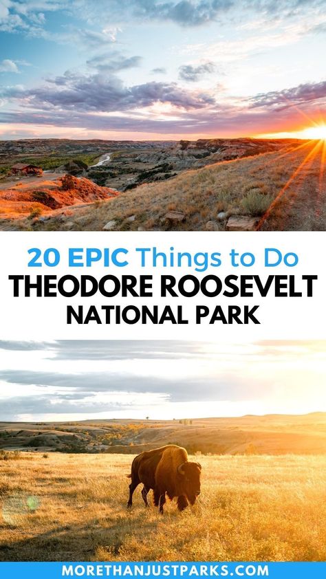 Roosevelt, Trip, Theodore, Things To Do, Badlands, Yellowstone, Park, Park Photos, Forest Trail