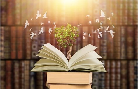 Design, Education, Literature Background Design, Knowledge, Picture Tree, Future, Flying, Growth, Background Design