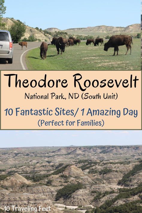 National Parks, State Parks, National Parks Usa, National Park Camping, North Dakota Travel, Yellowstone Trip, Theodore Roosevelt National Park Camping, South Dakota Vacation, South Dakota Road Trip