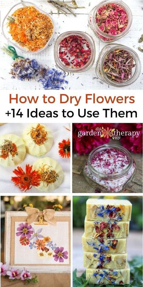 How to Dry Flowers + 14 Dried Flower Petal Projects Gardening, Floral, How To Preserve Flowers, Drying Flowers, Dried Sunflowers, Dried Flowers Diy, Pressed Flowers, Dried Flower Arrangements, Dried Flowers Crafts