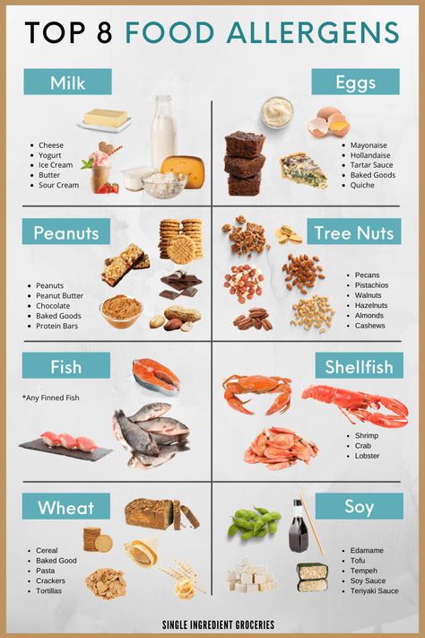 Did you know that the top 8 food allergens make up 90% of all food allergies today? This list of the Top 8 food allergens will give you examples of food allergen examples and safe food substitutions. Get our handy food allergy infographic for daily use. https://www.singleingredientgroceries.com/top-8-food-allergens-and-food-substitutions-you-should-know/ #peanutallergy #foodallergy #milkallergy Protein, Allergy Safe Foods, Allergy Free Recipes, Food Sensitivities, Food Allergens, Allergy Friendly, Common Food Allergies, Food Allergies, Food Allergies Awareness