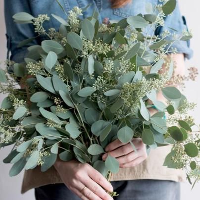 (1) - Hey, goddess! Do you need help finding anything? Summer, Sorrento, Floral, Seeded Eucalyptus Bouquet, Eucalyptus Wedding, Greenery Wedding, Seeded Eucalyptus, Fern Wedding, Fresh Wedding Flowers