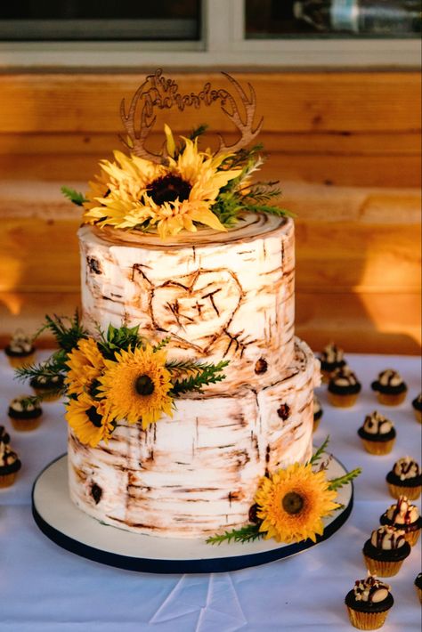 Brunch, Birch Wedding Cakes, Wedding Cakes With Sunflowers, Sunflower Wedding Cake, Sunflower Wedding Cakes, Rustic Sunflower Wedding, Wedding Cake Tree, Wedding Cake Rustic, Birch Tree Wedding