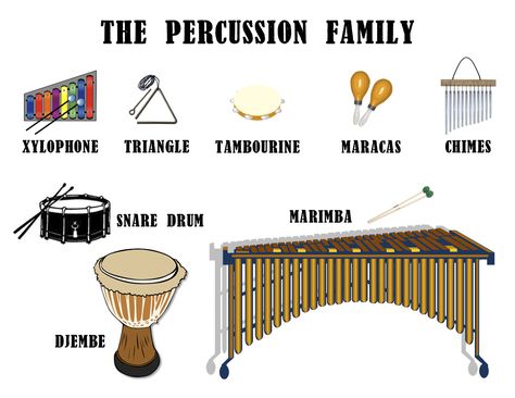 Musicals, Videos, Percussion, Musical Instruments, Montessori, Drum Lessons, Percussion Instruments, Instrument Families, Music Instruments