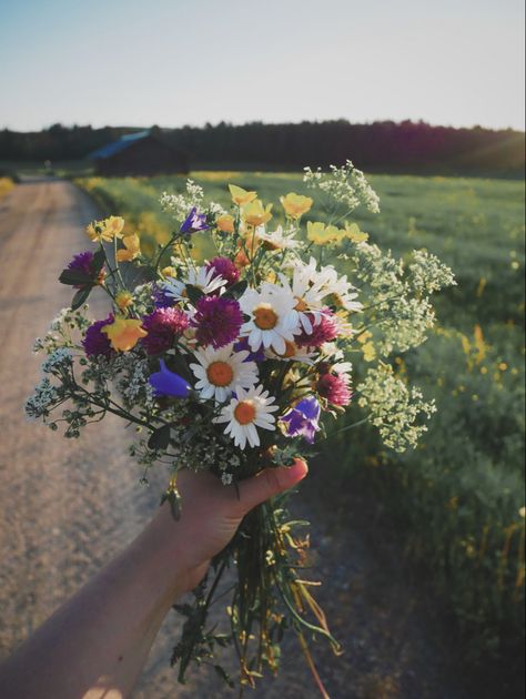 Nature, Flowers Photography, Wild Flower Arrangements, Wild Flower Wedding, Beautiful Flowers, Wildflower Garden, Wildflower Bouquet, Wildflower Wedding, Wild Flowers