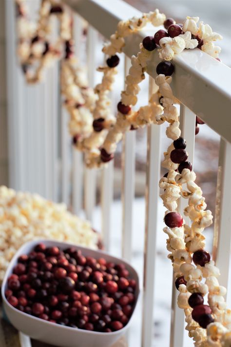 DIY festive cranberry popcorn garland with one hour, five dollars, and bonus built-in excuse to curl under a blanket and watch Christmas movies while you work. Diy, Decoration, Popcorn Christmas Tree Garland, Homemade Christmas, Popcorn Garland, Diy Christmas Garland, Christmas Decorations To Make, Christmas Scents, Natural Christmas Decor