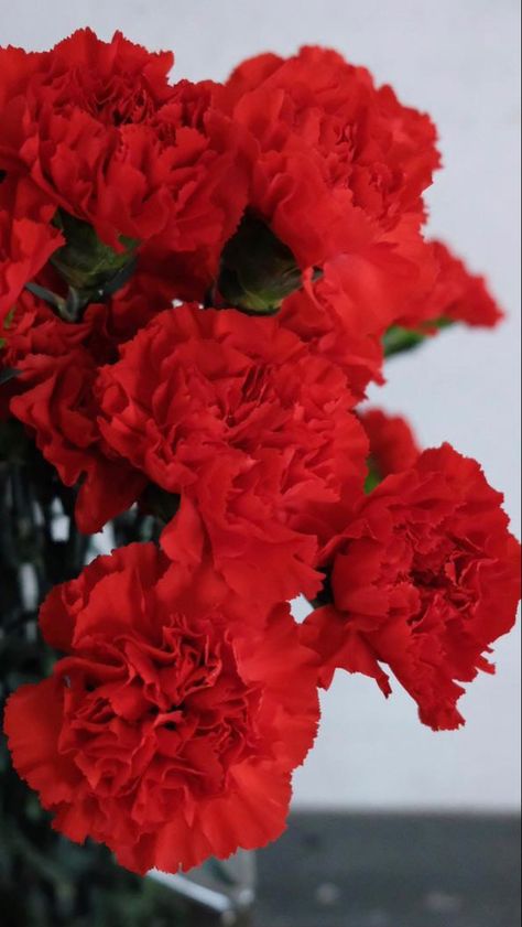 Buying Flowers Online | Buy Flowers | Floral Garland | Wholesale Flowers Inspiration, Gardening, Bonito, Roses, Floral, White Carnation, Red Flowers, Red Carnation, Yellow Flowers