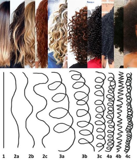 Curls, Naturally Curly, Perms, Types Of Curls, Hair Type, Penteado Cabelo Curto, Hair Hacks, Curly Hair Care, Curly Hair Routine
