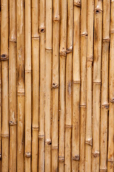 Design, Texture, Interior, Bamboo Background, Bamboo Texture, Bamboo Design, Wood Texture Background, Bamboo Wallpaper, Texture Images