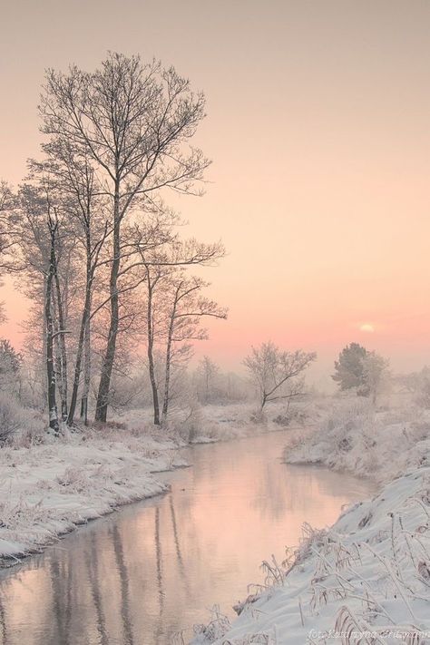 Winter Pink: