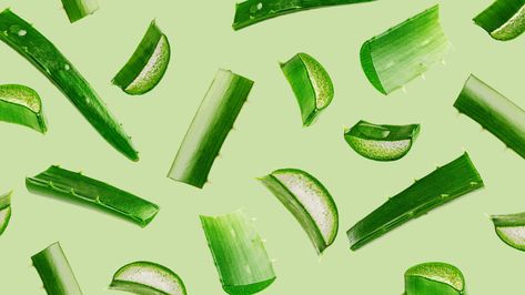 You can use aloe vera on everything from acne to minor wounds to irritation caused by eczema or rosacea. Posters, Aloe Vera Benefits, Aloe Vera Gel, Aloe Vera Leaf, Aloe Vera, Aloe Vera Plant, Natural Health, Aloe, Health And Beauty
