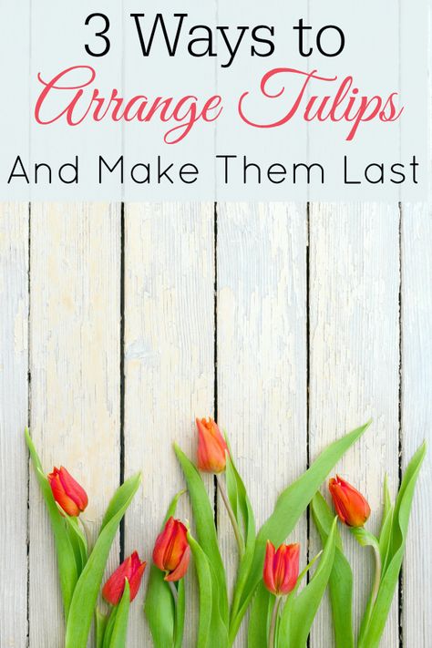 3 ways to arrange tulips and how to make them last longer. #tulips #freshflowers Summer, Retro, Inspiration, Diy, Gardening, Growing Flowers, Tulips Arrangement, Flower Arrangements, Tulip Bouquet