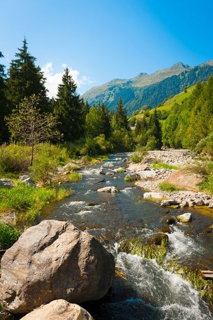Paisaje con río de montaña que fluye a través de un bosque de montaña en los alpes suizos | Foto Gratis Instagram, Nature, Trips, Outdoor, Nature Photography, Paisajes, Lugares, Naturaleza, Rio