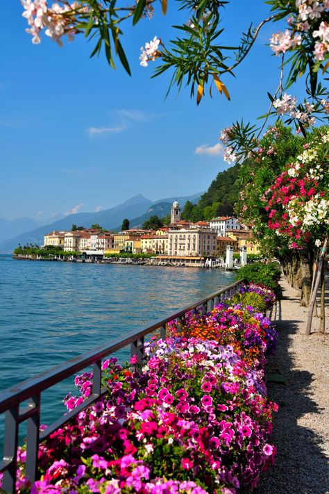 View of Lake Como with pink and purple flowers. Fotos, Resim, Beautiful Nature, Mare, Bunga, Fotografia, Pretty Landscapes, Beautiful Landscapes, Fantasy