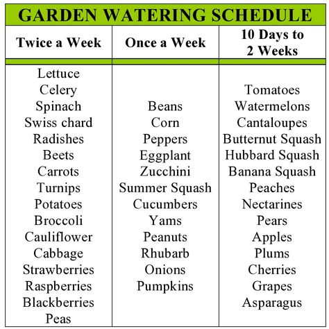 Growing Vegetables, Outdoor, Gardening, Vegetable Garden Design, Garden Types, Garden Watering Schedule, Vegetable Garden Planning, Growing Vegetables In Containers, Gardening Tips