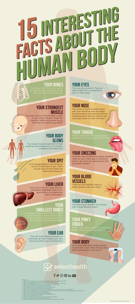 These 15 interesting facts may help you appreciate your body even more. #infographic #funfacts #humanbody #muscles #bones #organs English, Interesting Health Facts, Thyroid Problems, Human Body Facts, Medical Facts, Interesting Facts About Humans, Facts About Humans, Health Facts, Muscle Memory