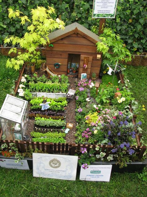40 Magical DIY Fairy Garden Ideas Miniature, Diy, Miniature Fairy Gardens, Fairy Garden Houses, Fairy Garden Diy, Fairy Garden Designs, Fairy Garden Design Ideas, Fairy Garden, Diy Fairy