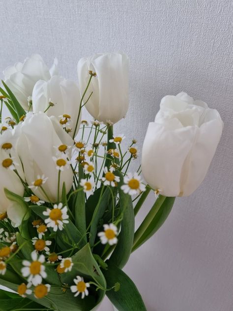 Ideas, Flowers Bouquet, White Tulip Bouquet, Tulip Bouquet, White Rose Bouquet, Daisy Bouquet Wedding, Daisy Bouquet, Tulips Flowers, Tulip Wedding