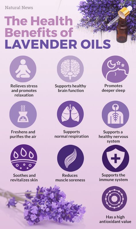 Why lavender is the most important essential oil to use right now Essential Oils, Perfume, Lavender Essential Oil Benefits, Lavender Essential Oil Uses, Lavender Essential Oil, Benefits Of Lavender, Essential Oils Health, Lavender Oil Uses, Lavender Oil Benefits