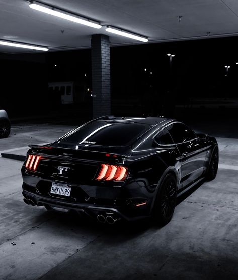 Ford Gt, Ford Mustang Car, Ford Mustang Gt500, Ford Mustang, Ford Mustang Gt, Ford Mustang Shelby Gt500, Ford Mustang Shelby, Ford Mustang Ecoboost, Ford Mustang Coupe