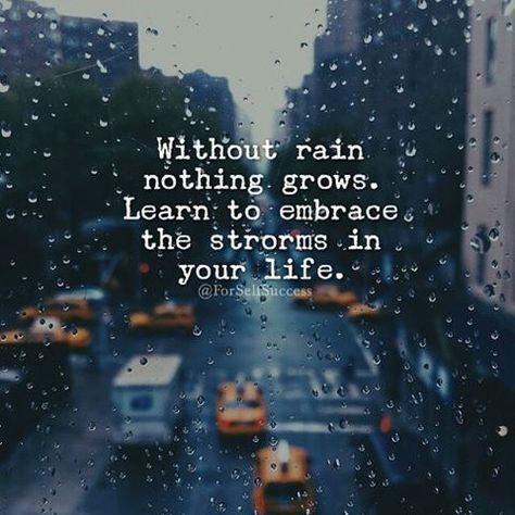 Without Rain Nothing Grows. Learn To Embrace The Storms In Your Life life quotes… Water Quotes, Lessons Learned In Life, Free Iphone Wallpaper, Life Pictures, Dark Wallpaper, Life Images, Inspiring Quotes About Life, Lessons Learned, Cute Quotes