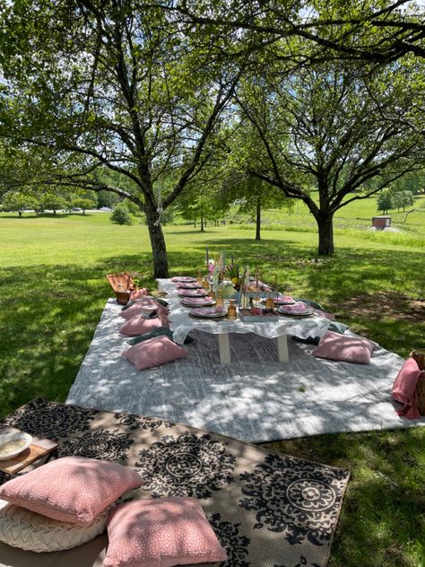 20th Birthday Ideas Outdoor, Outdoor 20th Birthday Party, Birthday Party At Park Decor, Sweet 16 Picnic Aesthetic, Picnic Brunch Birthday Party, Sweet 16 Park Party Ideas, Sunset Picnic Birthday, Outside Birthday Picnic, 18th Picnic Party