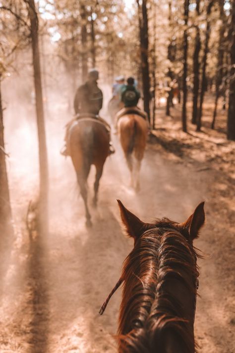 Bryce Canyon, Ideas, National Parks, Trail Riding Horses, Horseback Riding Trails, Trail Riding, Horse Trails, Western Riding, Horseback Riding Aesthetic