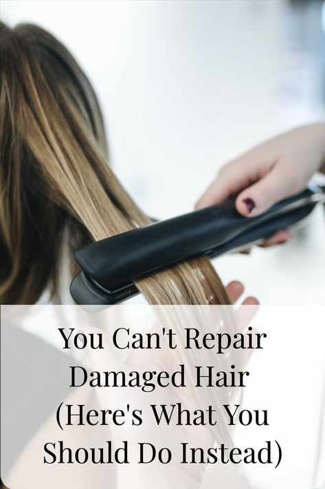 You can’t heal damaged hair. All those products are marketing promises. Here’s why. #hairrepair #hairserum #hairoil #selfcare #haircare Ideas, Stop Hair Breakage, Extremely Dry Damaged Hair, Extremely Damaged Hair Repair Diy, Damaged Hair Repair Diy, Heat Damaged Hair, Dry Damaged Hair Treatment, Heat Damaged Natural Hair, Dry Damaged Hair