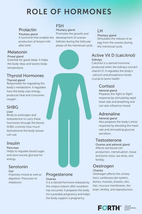 How Female Hormones Impact Women's Health - Not Just Fertility Endocrine System, Hormone Health, Hormones, Female Hormones, Menstrual Health, Medical Knowledge, Physiology, Health And Wellness