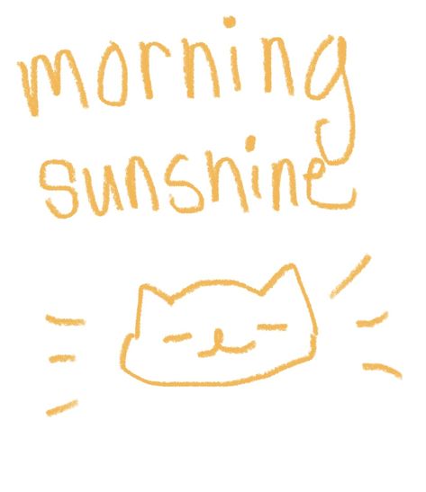 Caption “Morning Sunshine” in orange font. A small orange cat head drawn showing a happy face. Doodles, Good Morning Cat, Cute Good Morning, Cute Good Night, Morning Cat, Silly Images, Cute Messages, Cute Funny Pics, Cute Phrases