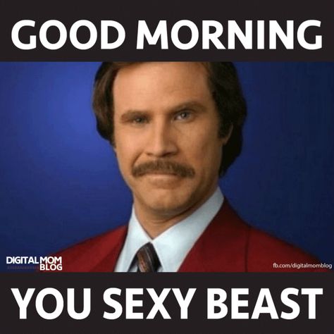 Ron Burgandy says good morning you sexy beast. Text this to the husband - Funny Morning Memes #morningmemes #memes #funny #lol #funnymemes #morning #goodmorning #funnyimages Humour, Motivation, Funny Good Morning Memes, Funny Good Morning Quotes, Funny Good Morning Images, Funny Morning Memes, Funny Morning, Good Morning Funny, Good Morning Meme