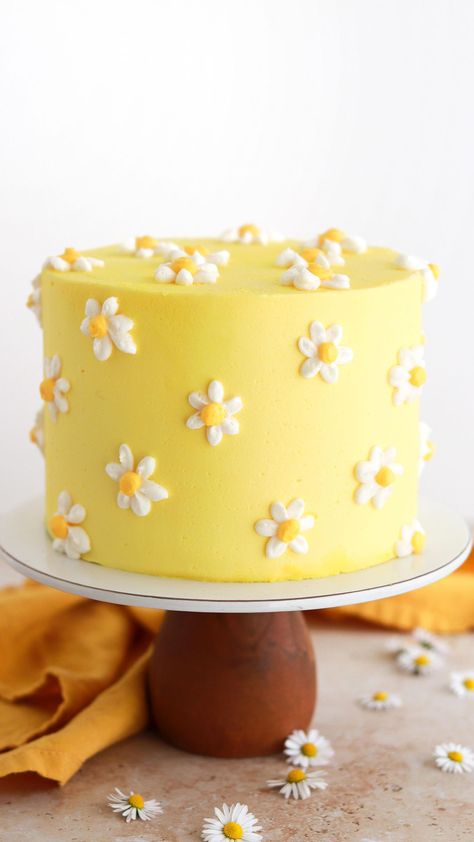 Fondant, Cake, Daisy Cakes, Spring Cake Designs, Spring Cake, Yellow Cake, Floral Cake, Cake Decorating Piping, Yellow Cakes Decoration
