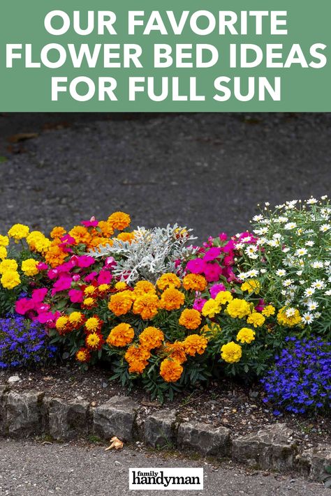 Our Favorite Flower Bed Ideas for Full Sun Design, Floral, Exterior, Roses, Layout, Flower Bed Filler Ideas, Front Flower Bed Ideas Full Sun, Flower Bed Designs, Full Sun Flowers