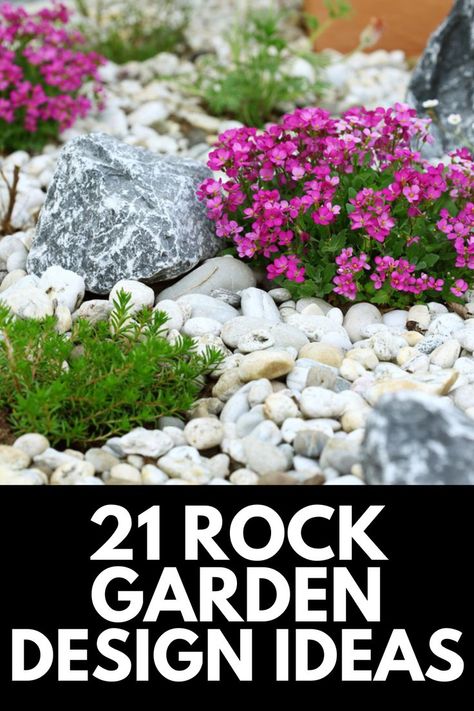 Front Garden Landscaping, Back Garden Ideas, Backyard Rock Garden, Small Rock Garden Ideas, Rock Garden Landscaping, Small Front Yard Landscaping, Backyard Ideas, Landscaping With Large Rocks, Landscaping With Rocks