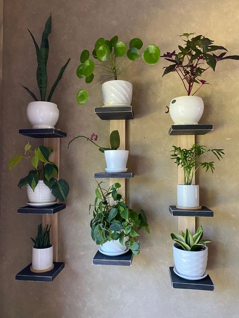 Indoor plant decor